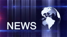 Foreign customers visit our company